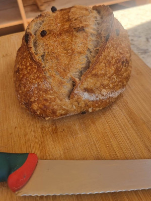 Special Bread 12 Euro.jpeg (212.42 KiB) 10006 mal betrachtet Würzig-süß: das Special Bread für 12 Euro<br />mit pasas (Rosinen) und nueces (Nüssen),<br />auch in Deutschland teuer!