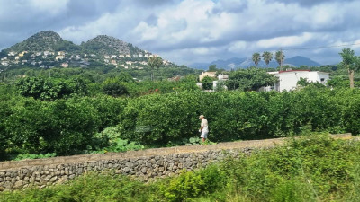 14 Die EInheimischen gehen ihren Tätigkeiten nach, die Ausländer thronen auf dem Berg.JPG (162.92 KiB) 4014 mal betrachtet Im Tal gehen die Einheimischen ihrer täglichen Arbeit nach, in den Häusern "mit Blick" residieren hauptsächlich Ausländer.