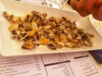 32 Tellerinas.JPG (72.23 KiB) 3008 mal betrachtet Nur unsere Kleine machte eine Ausnahme:<br />Es mussten Tellerinas sein. Wie man sie isst, hat ihr die Oma schon vor ein paar Jahren gezeigt, seitdem werden sie in jedem Urlaub bestellt. Diesmal reichten ihr zwei Portionen. Der Preis überstieg unser Menü um 8,50 Euro