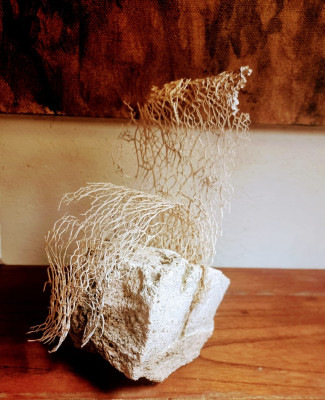 Opuntienskelett.jpg (226.08 KiB) 3294 mal betrachtet Eigene Deko mit anderem Blattskelett