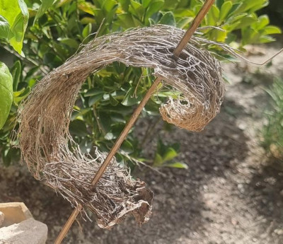 K800_1d420ee4-143b-4c7c-a977-a622d4fe35ff.JPG (93.18 KiB) 3294 mal betrachtet Nahaufnahme