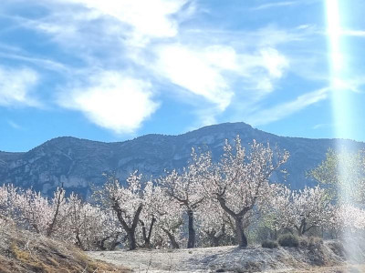 Mandel8 Zufahrt.JPG (88.5 KiB) 2432 mal betrachtet auf unserer Zufahrt zum Haus