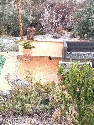 Hagel 2.JPG (148.78 KiB) 6020 mal betrachtet Ganz vorne Hagelkörner, <br />im Hintergrund ein blühender Mandelbusch.