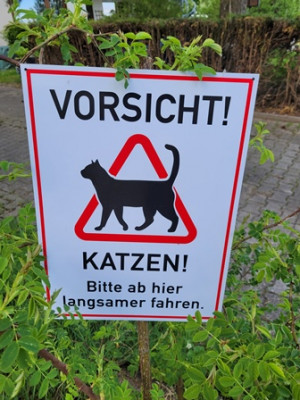 Schild - Katzen.jpg