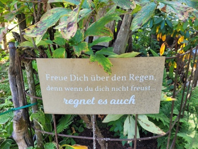 Spruch - Freue dich über den Regen.jpg