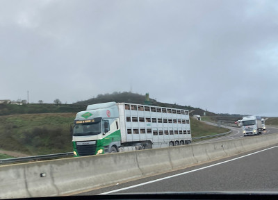 IMG_0903.jpeg (129.82 KiB) 2826 mal betrachtet Miss Piggy und Familie auf ihrer letzten Tour