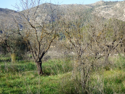 P1470240.JPG