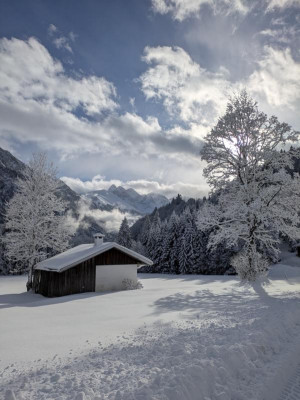 Winter-.JPG