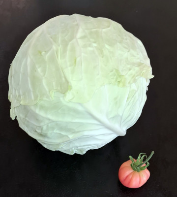 kohl1.jpg