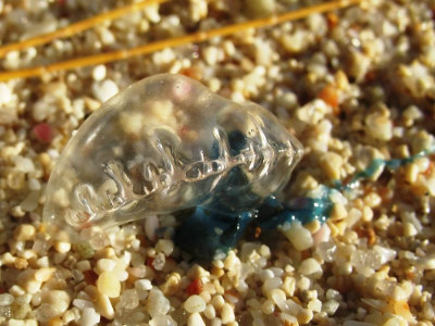 Portugiesische Galeere