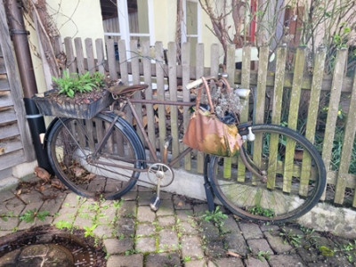 Fahrrad alt.jpg