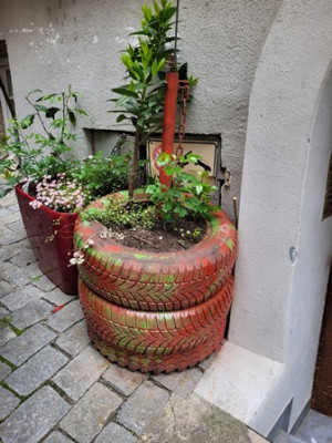 Reifen - Blumenkübel.jpg
