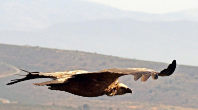 Nationalpark Monfragüe