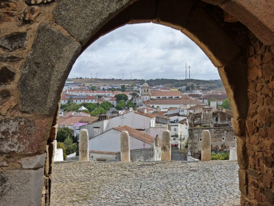 P1170225.JPG