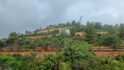 K800_20250709_093455.JPG
