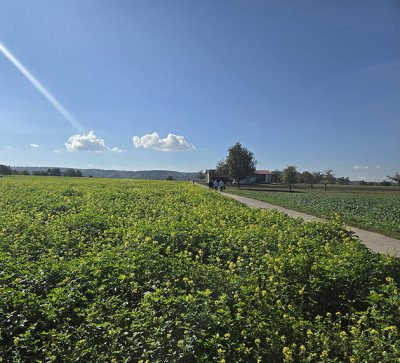 Mittagpausenspaziergang