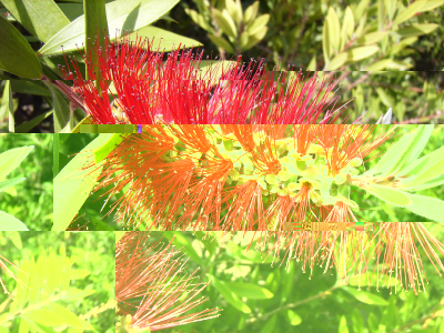 Botanischer Garten.JPG