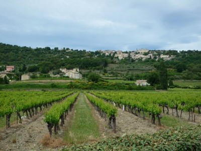 Wein, Wein, Wein und auf jedem Hügel ein altes Dorf