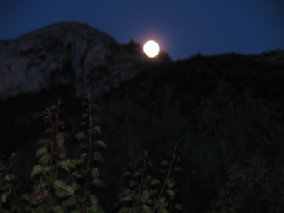 IMG_6510.JPG (1.74 MiB) 3265 mal betrachtet 26. Mai 2010<br />Auch nur fast Vollmond ...