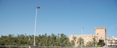 Elche