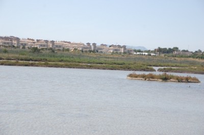 Biotope und Neubauten - kurz vor Santa Pola