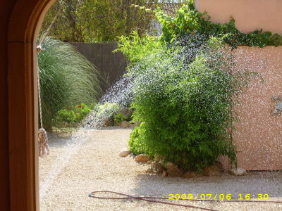 garten35.jpg