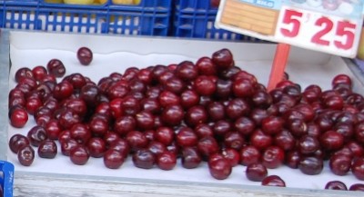 Kirschen 5,25.JPG (93.44 KiB) 6145 mal betrachtet 5,25 €/kg