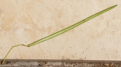 Was ist das.JPG (152.54 KiB) 1806 mal betrachtet Was ist das?