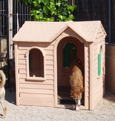 Einfamilienhaus