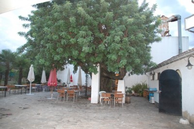 9 Innenhof DSC_0079.JPG (127.07 KiB) 4073 mal betrachtet Innenhof