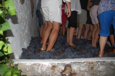 Wein wird nach traditioneler Art mit den Füßen gestampft.