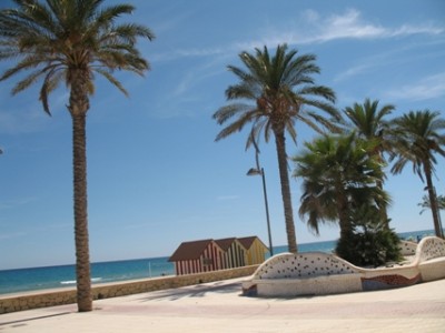 Einsam Alicante.JPG (70.17 KiB) 2704 mal betrachtet Alicante - stadtnah