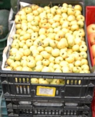 Rätsel.JPG (172.92 KiB) 2185 mal betrachtet Heute auf dem Markt entdeckt (leider mit falscher Einstellung fotografiert)