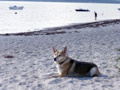 Ostsee2010 063.jpg