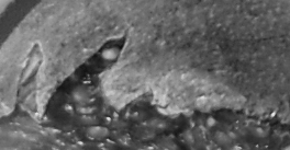 Schwarzweiß, damit es nicht noch leichter wird...