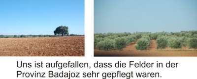 Landschaft neu.jpg (148.61 KiB) 5057 mal betrachtet Das Bild lässt sich vergrößern.