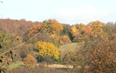 PICT0037.JPG, x.jpg