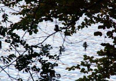 PICT0064.JPG, x.jpg