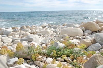 Meer.JPG (132.16 KiB) 1833 mal betrachtet Noch ein Bild, das völlig OFF TOPIC ist, aber es stammt aus der selben Gegend und ich habe es heute Nachmittag aufgenommen. Depende, ich habe es doch noch geschafft, ans Meer zu kommen...