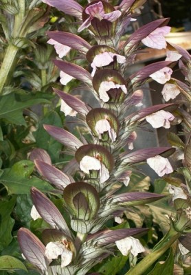 PICT0040.JPG, x.jpg