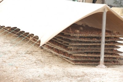 Unter diesen Dächern trocknen die Trauben zu Rosinen.