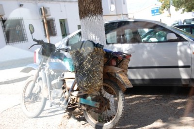 diese Designer-Seitentaschen an einem Moped.