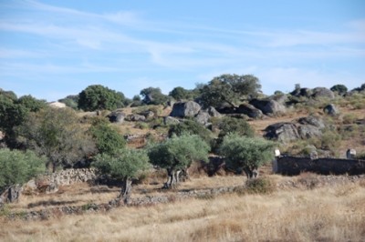 In der Provinz Cáceres sahen wir immer weniger bestellte Felder, bei den großen Granitfelsen ist der Boden kaum noch maschinell zu bearbeiten.
