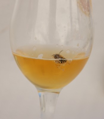 Novemberrätsel.JPG (76.92 KiB) 3544 mal betrachtet Das ist die Lösung.