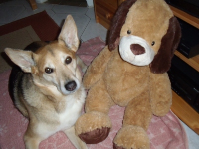 georgie & Pluto..jpg