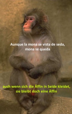 Affe.jpg
