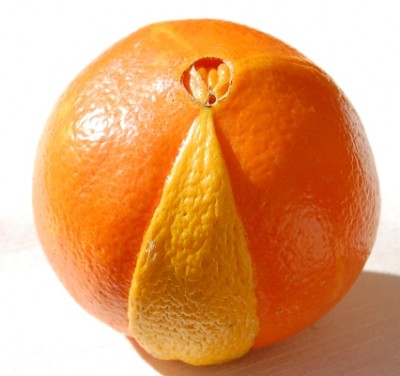 Navel1.JPG (125.68 KiB) 1946 mal betrachtet Mutierte (?) Orange