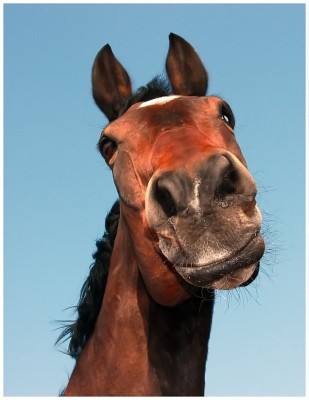 467397_R_K_B_by_Claudia-Grensemann_pixelio.de.jpg (127.23 KiB) 2421 mal betrachtet © Claudia Grensemann / www.pixelio.de