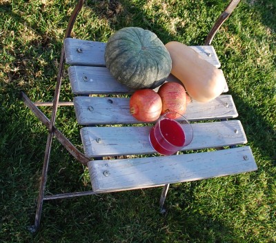 Granate.JPG (798.77 KiB) 2743 mal betrachtet Im Vordergrund: Granatapfelsaft