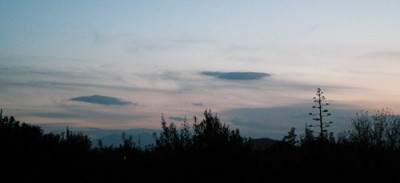 PICT0019.JPG, x.jpg